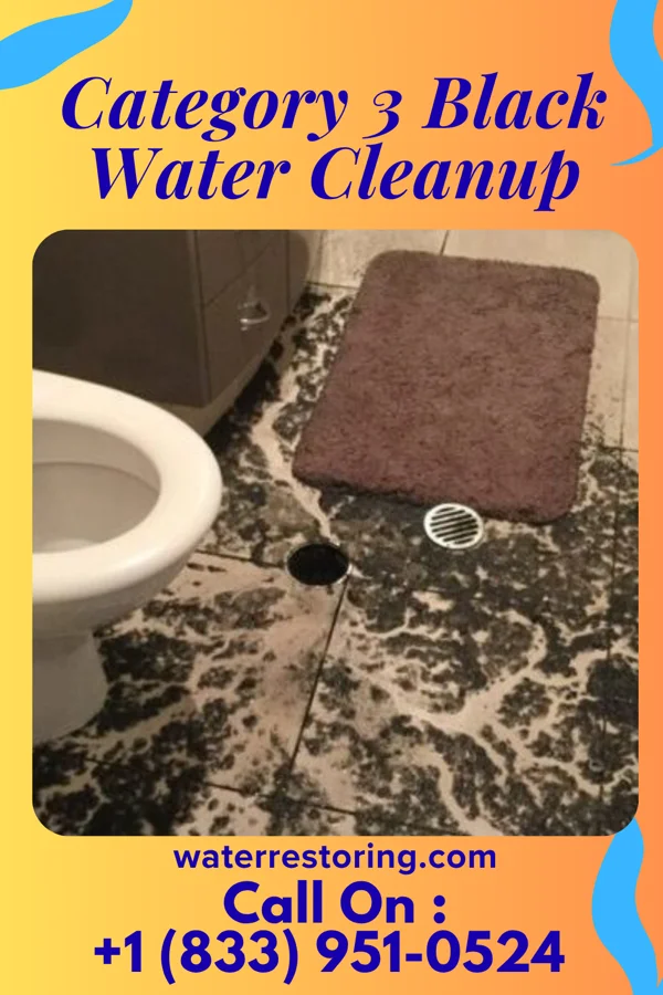 Category 3 Black Water Cleanup in Oak Creek, WI
