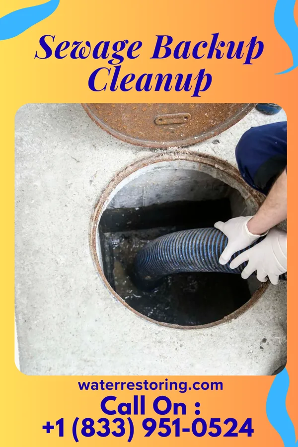 Sewage Backup Cleanup in Oak Creek, WI
